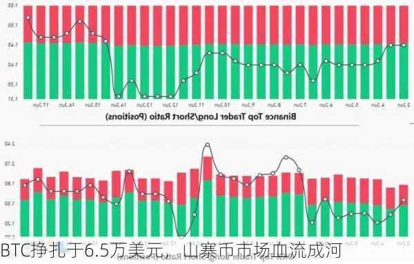 BTC挣扎于6.5万美元，山寨币市场血流成河