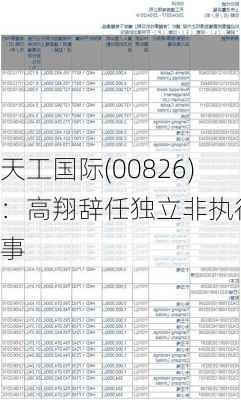 天工国际(00826)：高翔辞任独立非执行董事