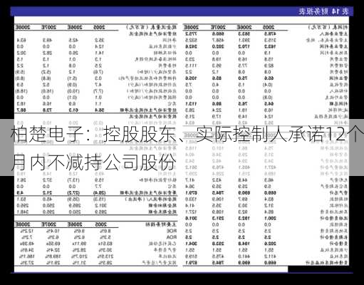 柏楚电子：控股股东、实际控制人承诺12个月内不减持公司股份