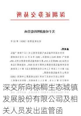 深交所向棕榈生态城镇发展股份有限公司及相关人员发出监管函