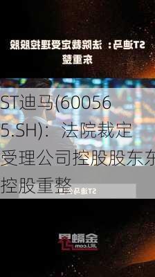 ST迪马(600565.SH)：法院裁定受理公司控股股东东银控股重整