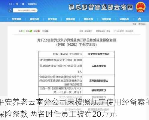 平安养老云南分公司未按照规定使用经备案的保险条款 两名时任员工被罚20万元