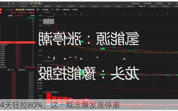 4天狂拉80%，这一概念爆发涨停潮