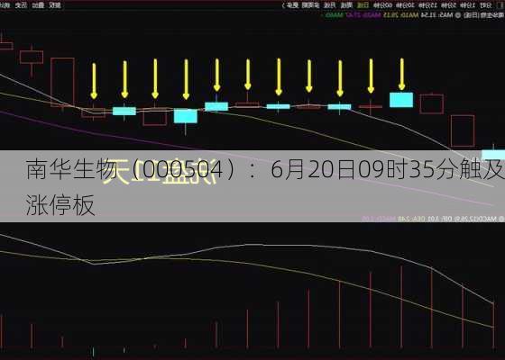 南华生物（000504）：6月20日09时35分触及涨停板