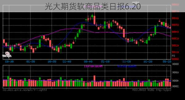 光大期货软商品类日报6.20