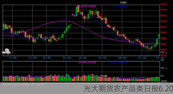 光大期货农产品类日报6.20