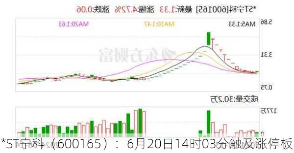 *ST宁科（600165）：6月20日14时03分触及涨停板