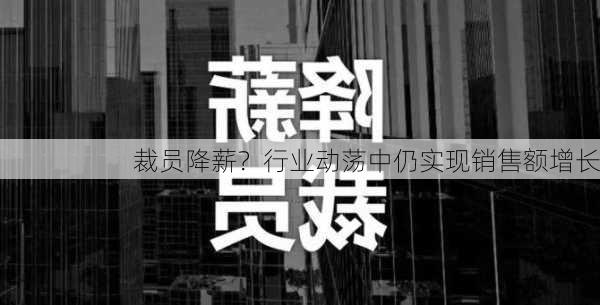 裁员降薪？行业动荡中仍实现销售额增长