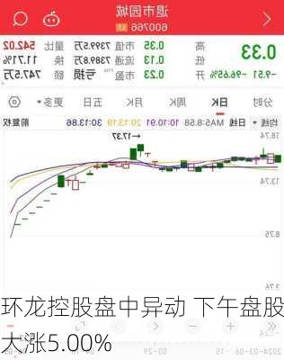 环龙控股盘中异动 下午盘股价大涨5.00%