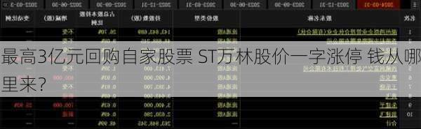 最高3亿元回购自家股票 ST万林股价一字涨停 钱从哪里来？