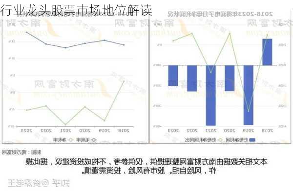 行业龙头股票市场地位解读