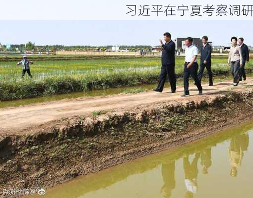 习近平在宁夏考察调研