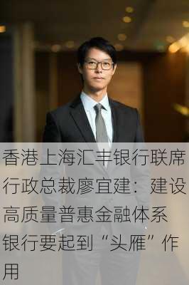 香港上海汇丰银行联席行政总裁廖宜建：建设高质量普惠金融体系 银行要起到“头雁”作用