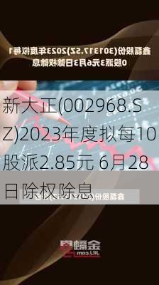 新大正(002968.SZ)2023年度拟每10股派2.85元 6月28日除权除息