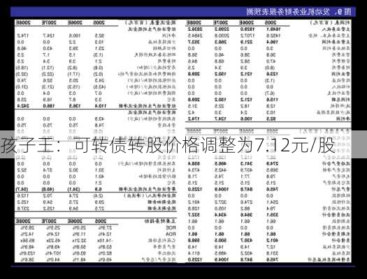 孩子王：可转债转股价格调整为7.12元/股