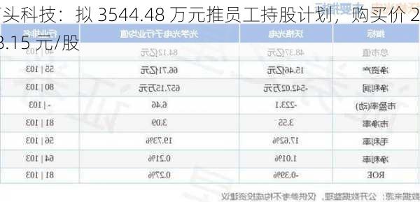 石头科技：拟 3544.48 万元推员工持股计划，购买价 208.15 元/股