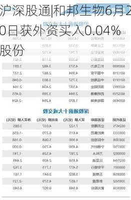 沪深股通|和邦生物6月20日获外资买入0.04%股份