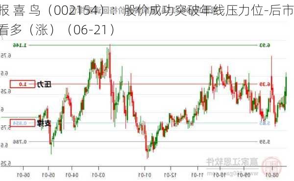 报 喜 鸟（002154）：股价成功突破年线压力位-后市看多（涨）（06-21）