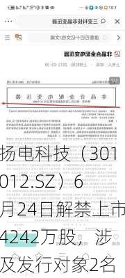 扬电科技（301012.SZ）6月24日解禁上市4242万股，涉及发行对象2名