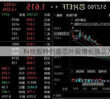 科技股特别是芯片股增长强劲？