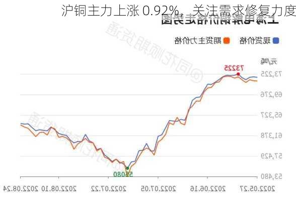 沪铜主力上涨 0.92%，关注需求修复力度