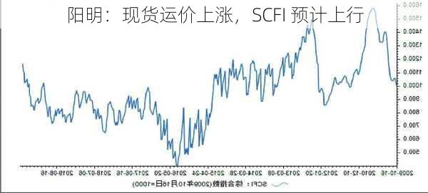 阳明：现货运价上涨，SCFI 预计上行