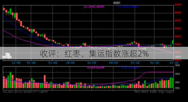 收评：红枣、集运指数涨超2%