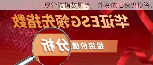 尽管被指数剔除，外资依旧积极投资？