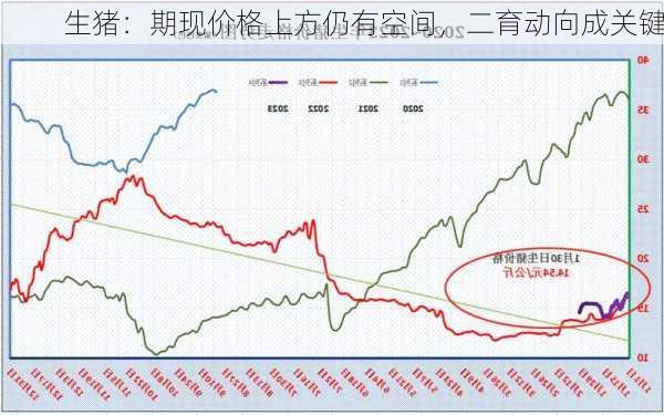 生猪：期现价格上方仍有空间，二育动向成关键