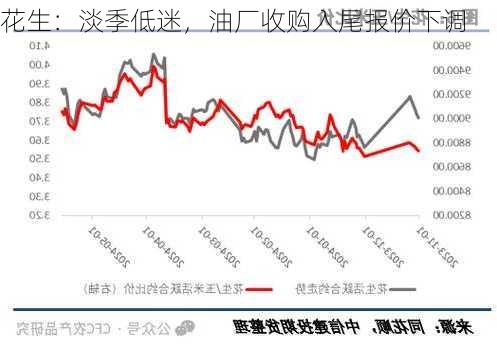 花生：淡季低迷，油厂收购入尾报价下调