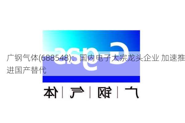 广钢气体(688548)：国内电子大宗龙头企业 加速推进国产替代