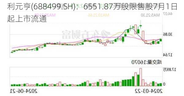 利元亨(688499.SH)：6551.87万股限售股7月1日起上市流通