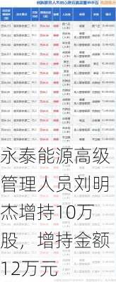 永泰能源高级管理人员刘明杰增持10万股，增持金额12万元