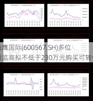 山鹰国际(600567.SH)多位董监高拟不低于230万元购买可转债