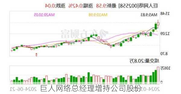 巨人网络总经理增持公司股份