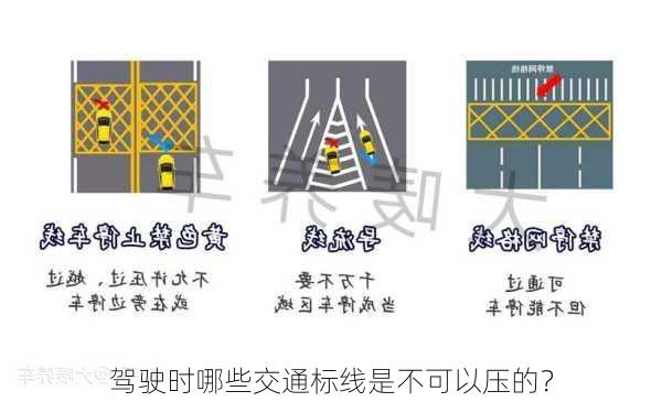 驾驶时哪些交通标线是不可以压的？