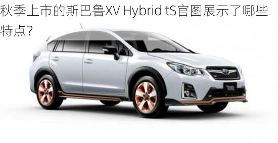 秋季上市的斯巴鲁XV Hybrid tS官图展示了哪些特点？