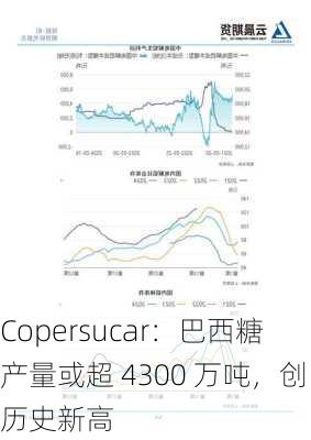 Copersucar：巴西糖产量或超 4300 万吨，创历史新高