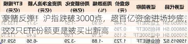 豪赌反弹！沪指跌破3000点，超百亿资金进场抄底，这2只ETF份额更是被买出新高