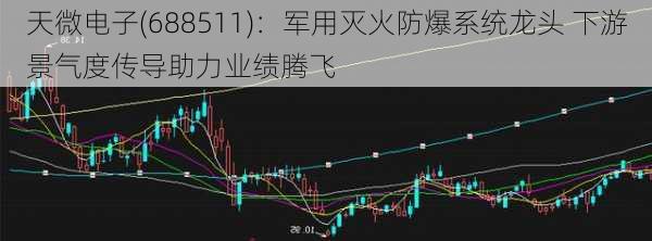 天微电子(688511)：军用灭火防爆系统龙头 下游景气度传导助力业绩腾飞