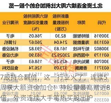 7股持仓翻倍，这一行业火了，连续5周获大额资金加仓！持股量最高赠近8倍，外资连续大手笔热买股出炉