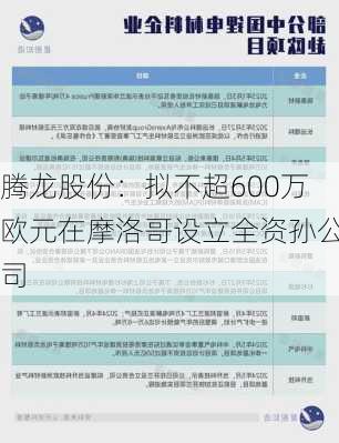 腾龙股份：拟不超600万欧元在摩洛哥设立全资孙公司