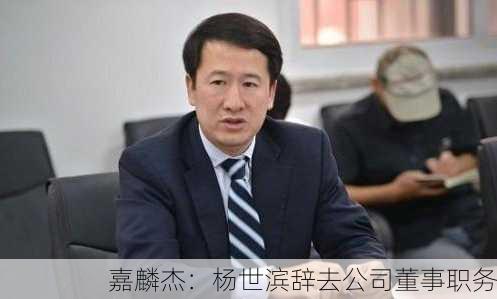 嘉麟杰：杨世滨辞去公司董事职务