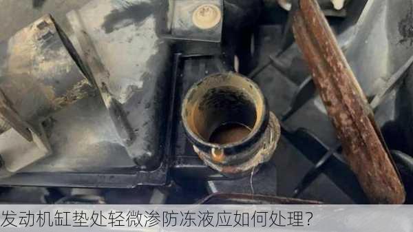 发动机缸垫处轻微渗防冻液应如何处理？