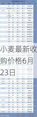 小麦最新收购价格6月23日