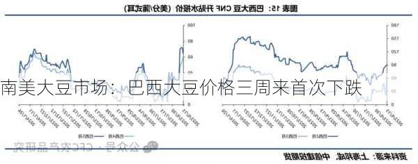 南美大豆市场：巴西大豆价格三周来首次下跌