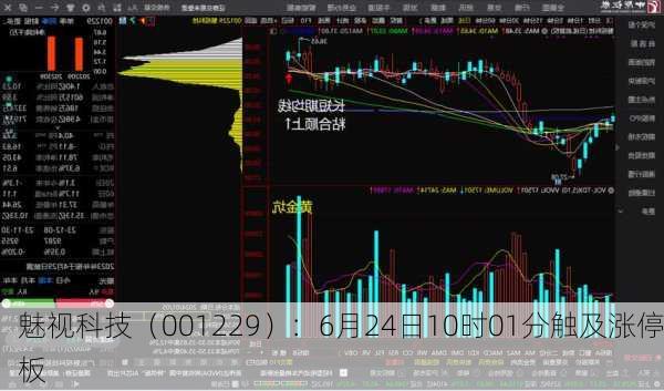 魅视科技（001229）：6月24日10时01分触及涨停板