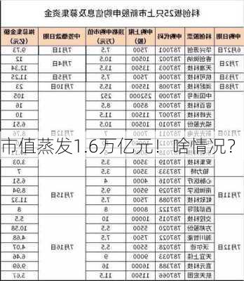 市值蒸发1.6万亿元！啥情况？