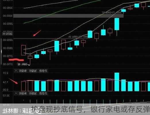 护盘现抄底信号，银行家电或存反弹