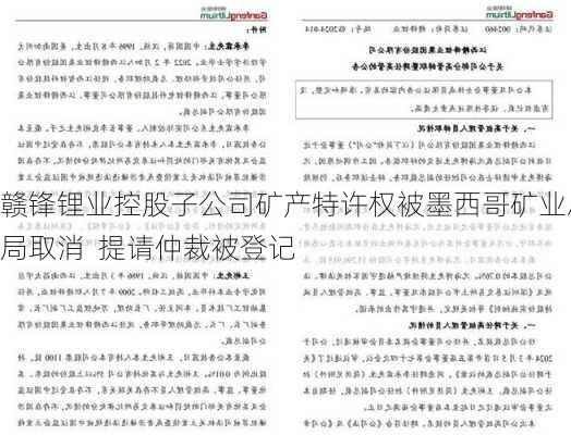 赣锋锂业控股子公司矿产特许权被墨西哥矿业总局取消  提请仲裁被登记